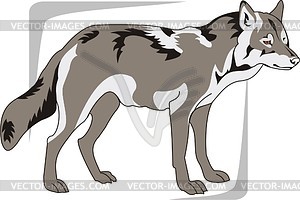 Wolf - vector image