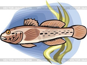 Goby - vector clipart