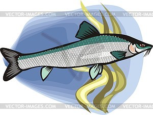 Fish - vector clipart