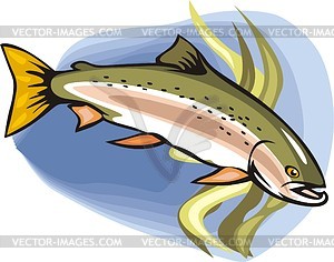 Loach - vector clipart