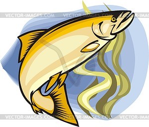 Fish - vector image