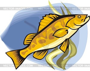 Fish - vector image