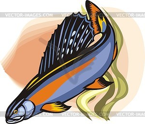 Grayling - vector clipart