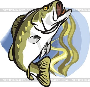 Fish - vector image