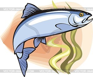 Fish - vector image