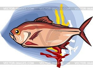 Fish - vector clipart