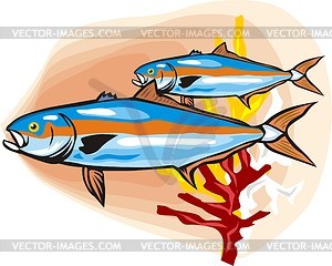 Рыбы - векторная графика