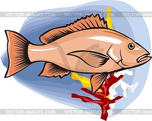 Fish - vector image