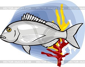 Рыбы - стоковый векторный клипарт