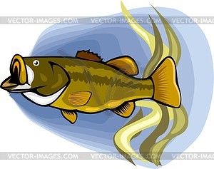 Fish - vector clipart