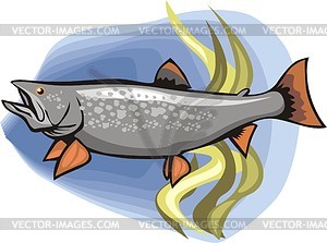 Fish - vector clip art