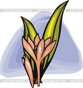 Flower - vector image