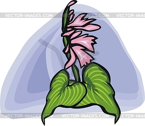 Flower - vector image