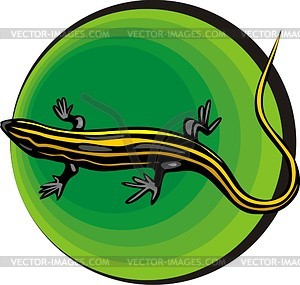 Lizard - vector image