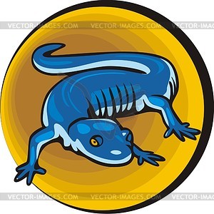 Lizard - vector clipart