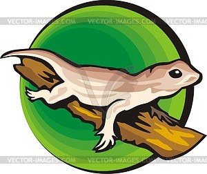 Lizard - vector clipart