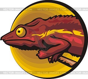 Lizard - vector image