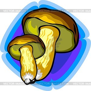 Mushroom - vector clip art