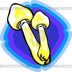 Mushroom - vector image