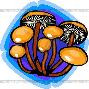 Agaric honey  - vector clipart