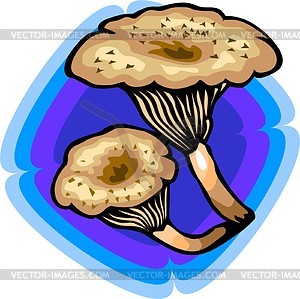 Mushroom - vector clip art