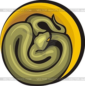 Snake - vector image