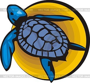 Turtle - vector image