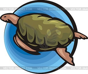Turtle - royalty-free vector clipart