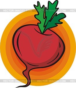 Beet - vector image