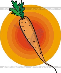Carrot - vector clipart