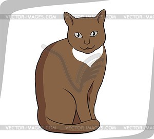 Cat - vector clipart / vector image