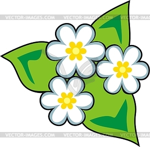 Flowers - vector clipart