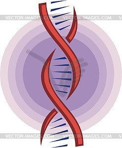 DNA - vector image