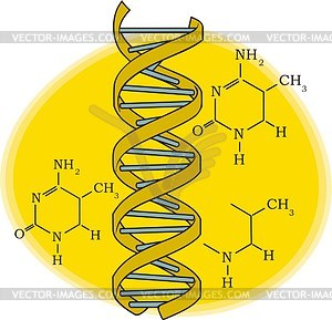 DNA - vector image