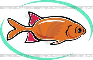 Aquarium fish - vector image