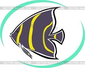 Aquarium fish - vector clipart