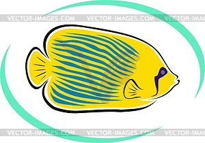 Aquarium fish - vector clipart