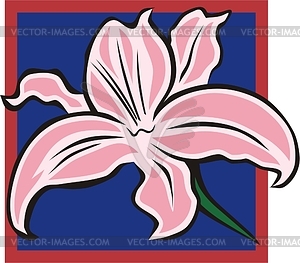 Lily - vector clipart