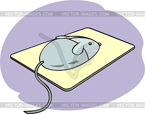 Мышь - изображение в векторе / векторный клипарт