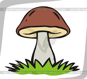 Mushrooms - vector clipart