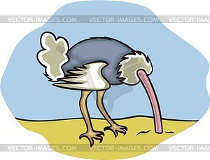 Ostrich - vector clip art