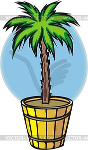 Palm in tub - vector clipart