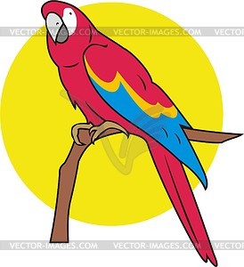 Papagei - Vektor-Clipart / Vektor-Bild