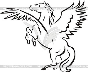 Winged horse - vector image