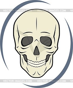 Skull - vector image