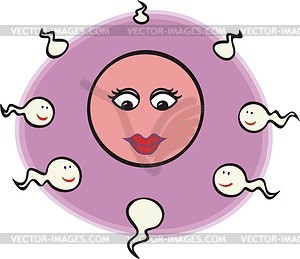 Spermatozoa and ovule - vector clipart