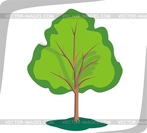 Tree - vector image