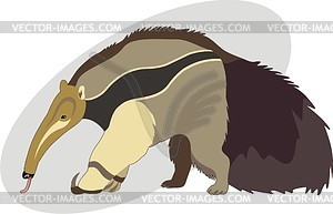Ant-eater - vector image