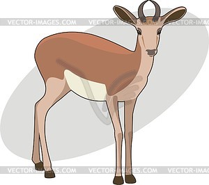 Antelope - vector clipart