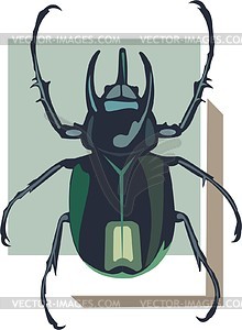 Beetle - vector image